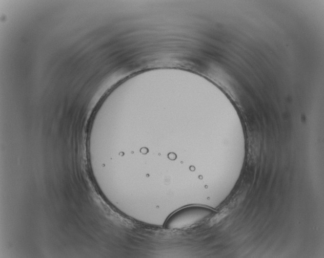 X0000070381000200606231708