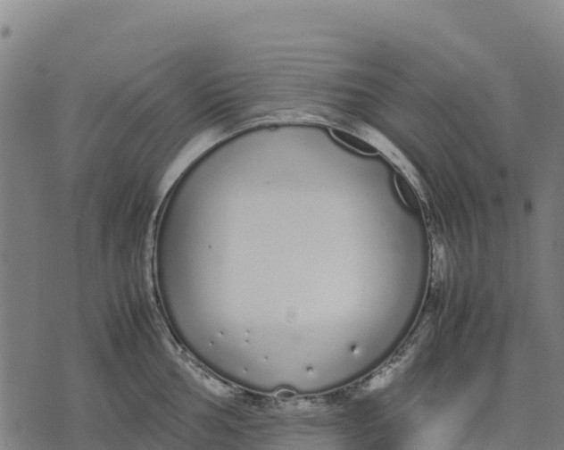 X0000070381002200606231708