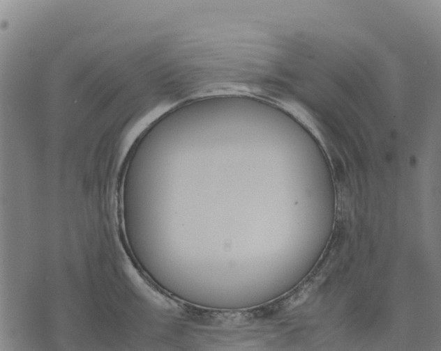 X0000070381003200606231708