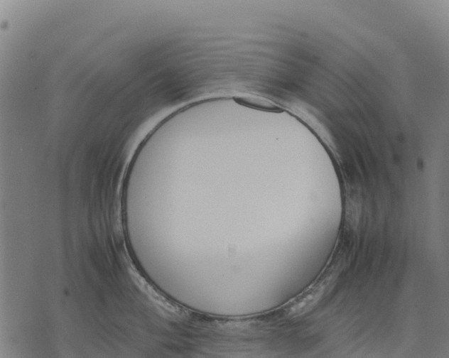 X0000070381004200606231707