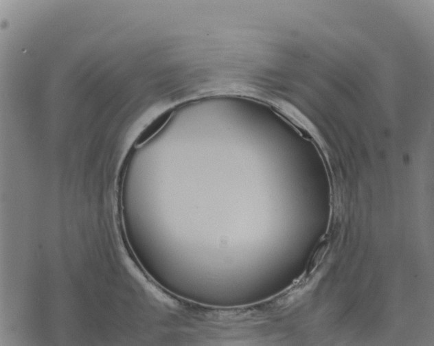 X0000070381005200606231707