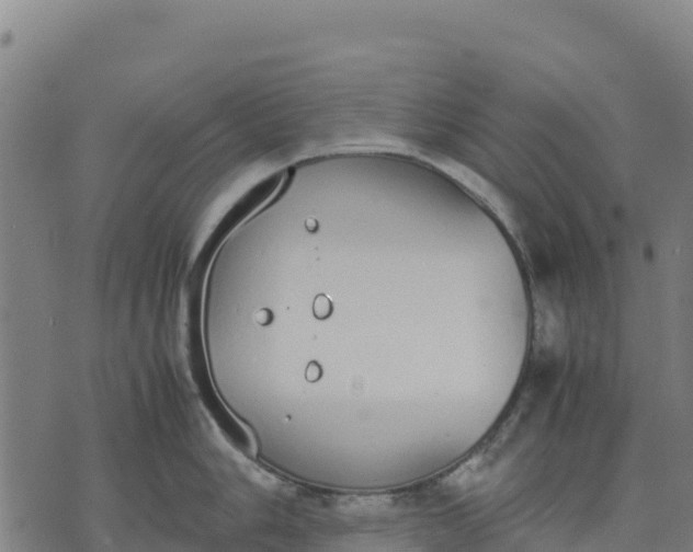 X0000070381006200606231707