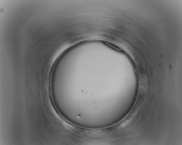 X0000070381007200606231707