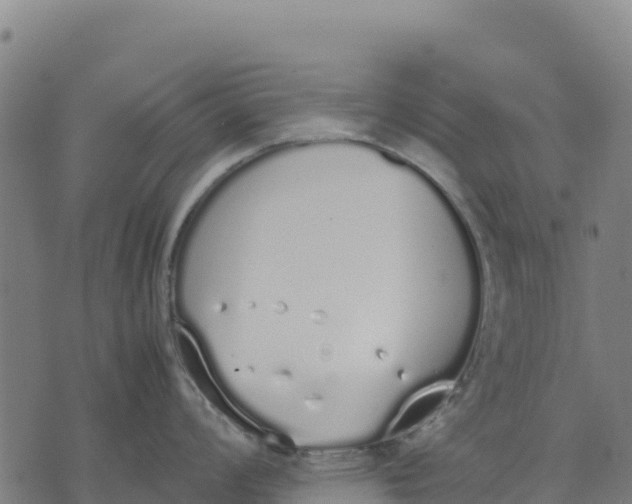 X0000070381008200606231707