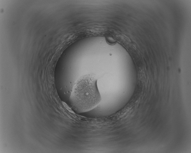 X0000070381009200606231707