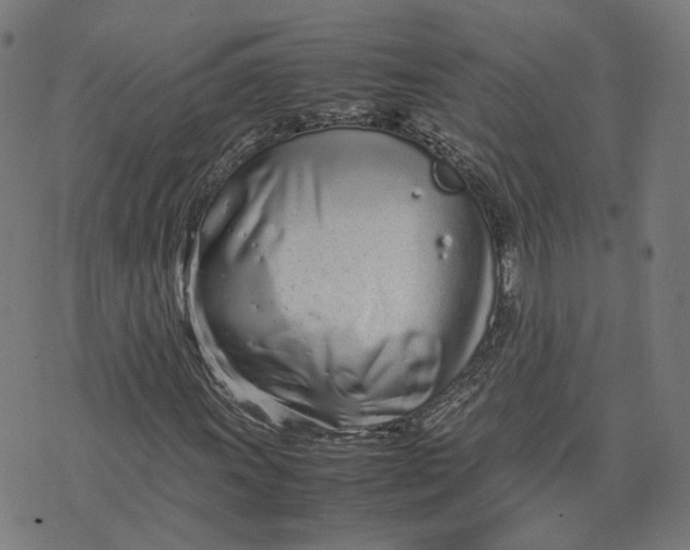 X0000070381011200606231707