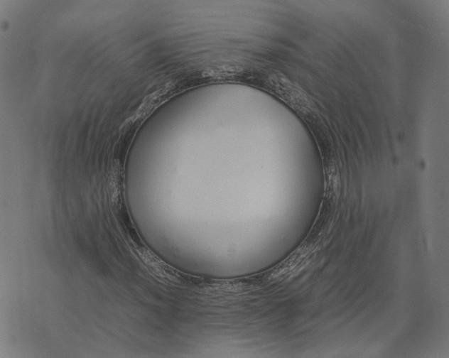 X0000070381012200606231707