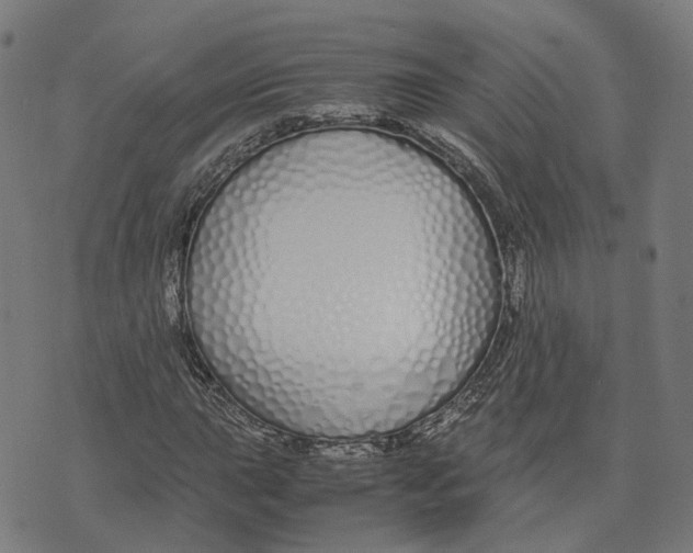 X0000070381015200606231707