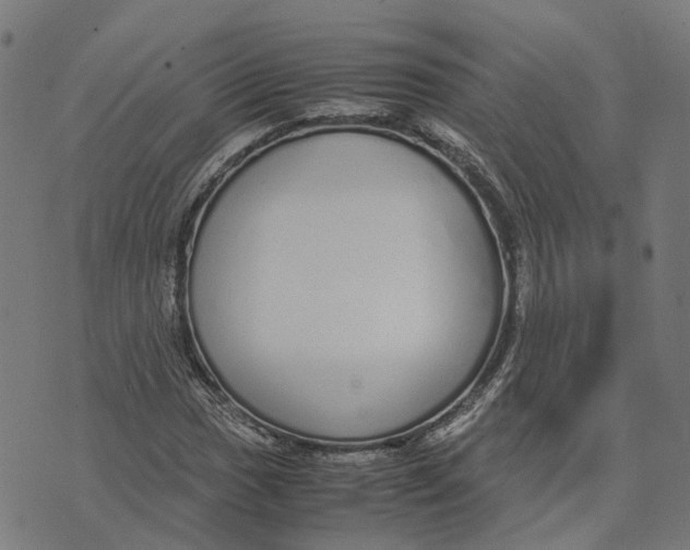 X0000070381017200606231707