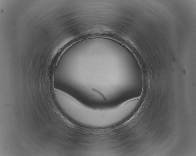 X0000070381018200606231707