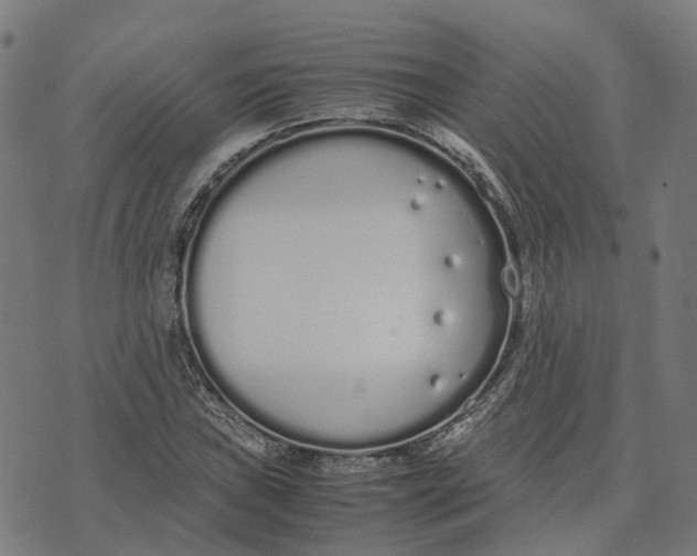 X0000070381019200606231707