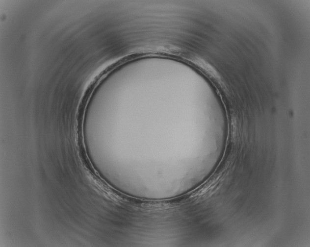 X0000070381020200606231707