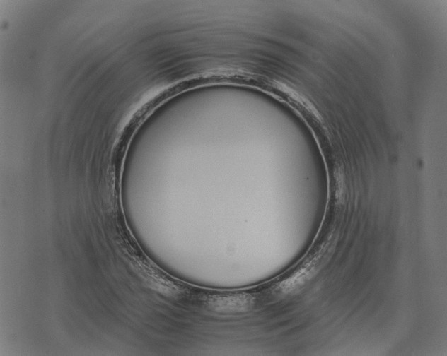 X0000070381021200606231707