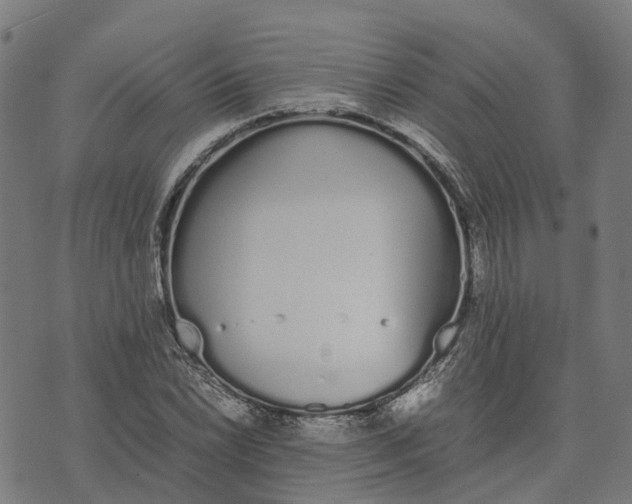 X0000070381022200606231707