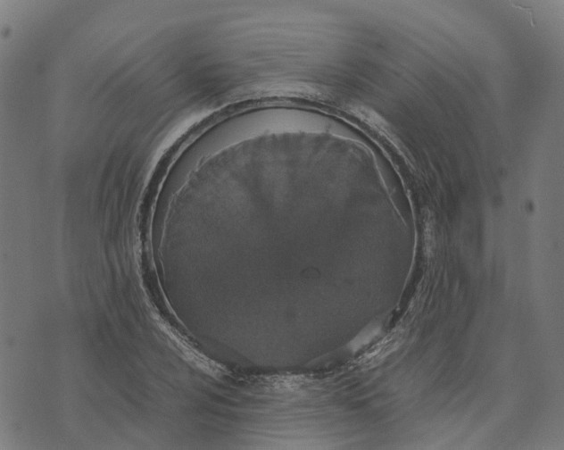 X0000070381024200606231707