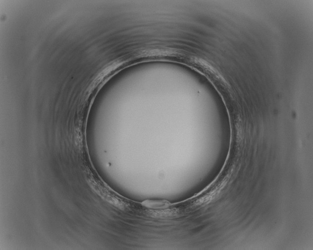 X0000070381025200606231707