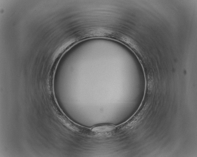 X0000070381026200606231707