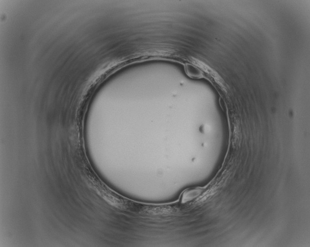 X0000070381027200606231707