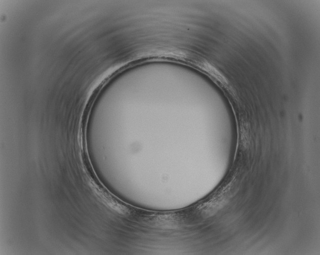 X0000070381028200606231707