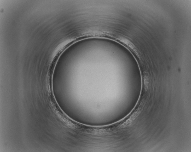 X0000070381030200606231707