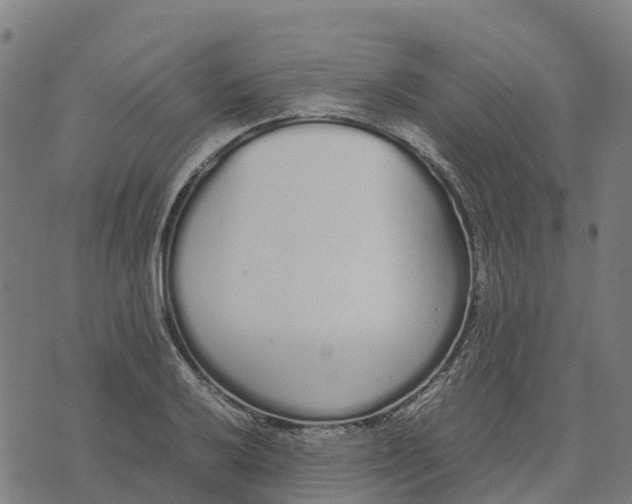 X0000070381032200606231707