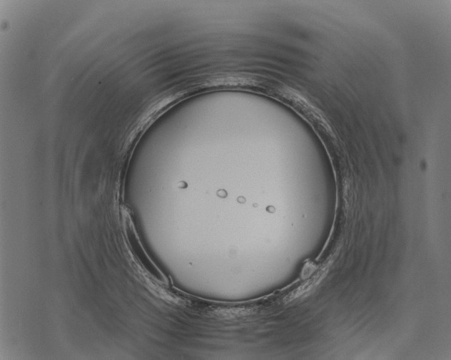 X0000070381033200606231707