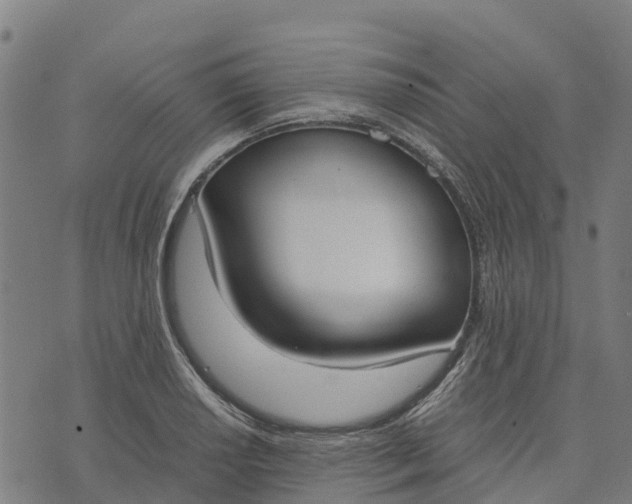 X0000070381034200606231707