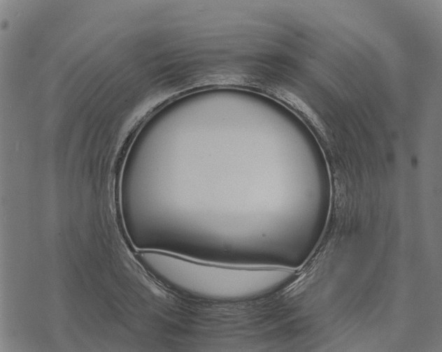 X0000070381035200606231707