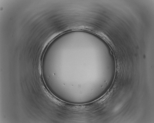 X0000070381036200606231707