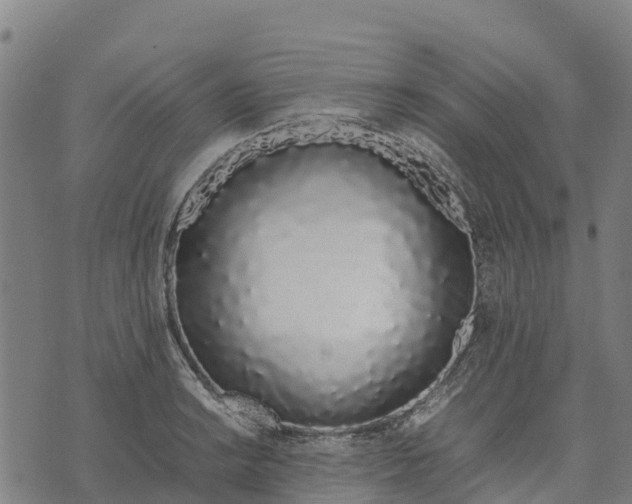 X0000070381038200606231707