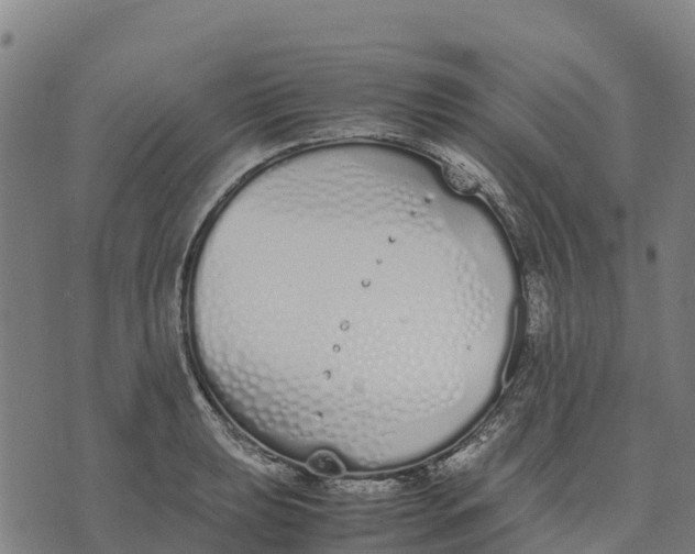 X0000070381039200606231707