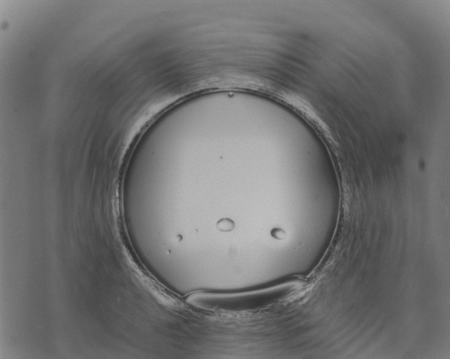 X0000070381040200606231707