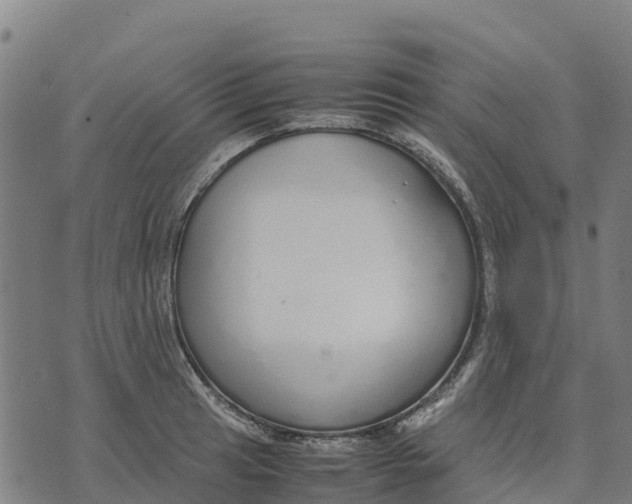 X0000070381041200606231707