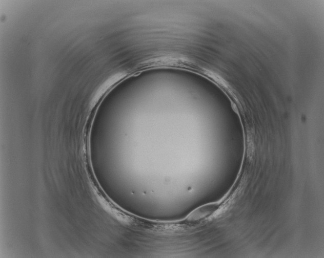 X0000070381042200606231707