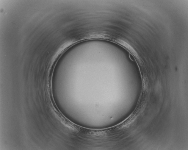 X0000070381043200606231707