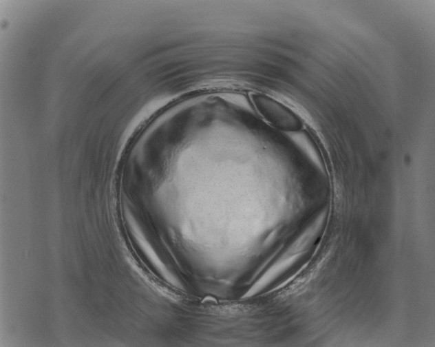 X0000070381045200606231707