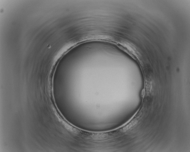 X0000070381046200606231707