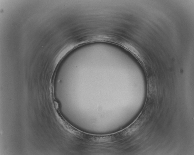 X0000070381047200606231707