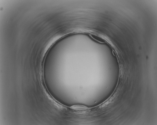 X0000070381048200606231707