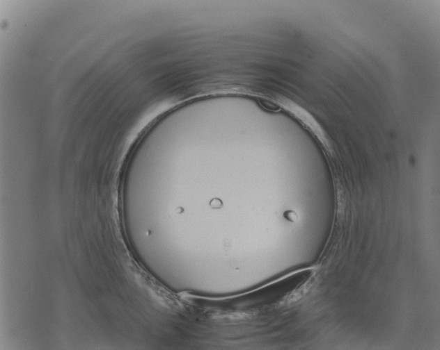 X0000070381051200606231707