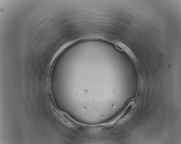 X0000070381052200606231707