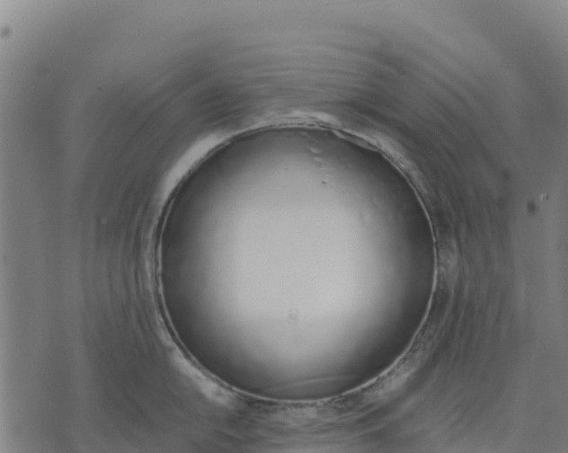 X0000070381054200606231707