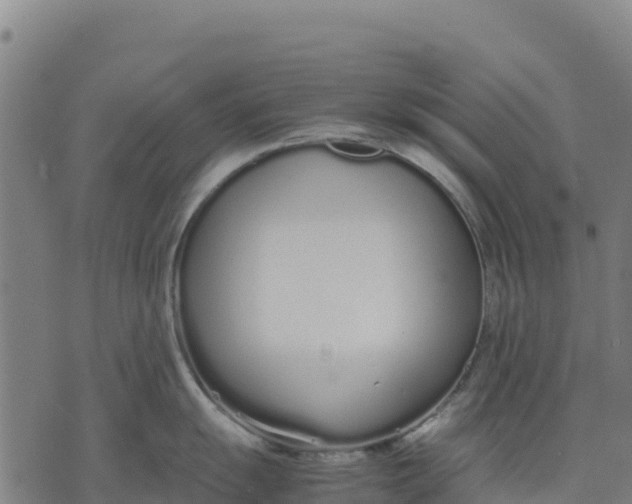 X0000070381055200606231707