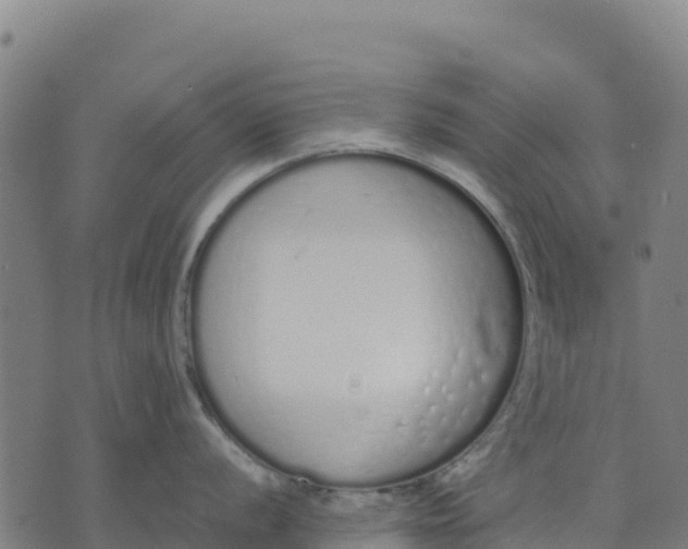 X0000070381056200606231707