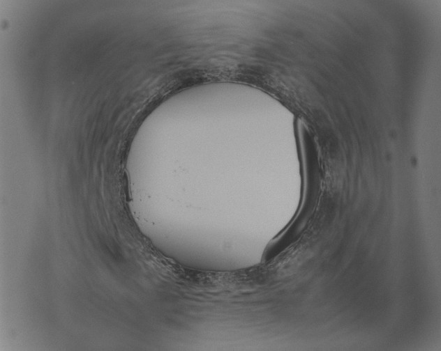 X0000070381057200606231707