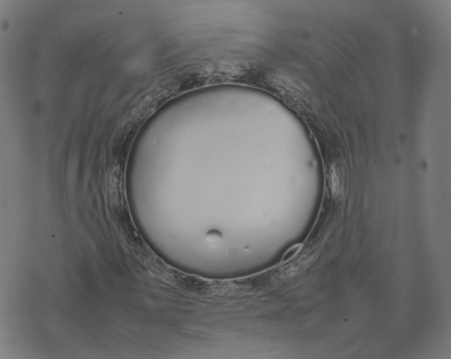 X0000070381059200606231707