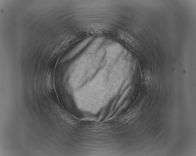 X0000070381060200606231707