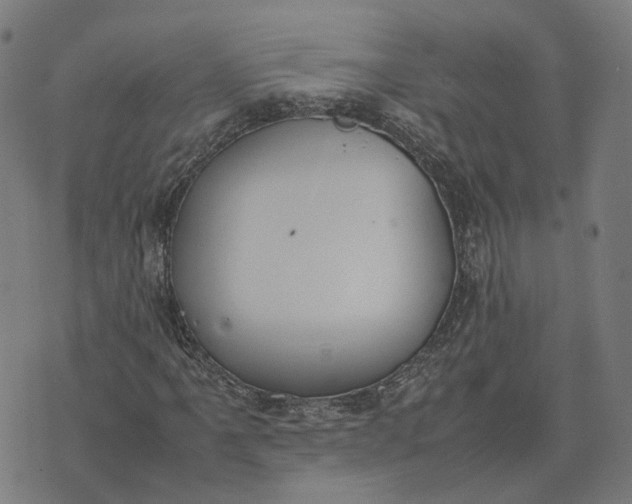 X0000070381061200606231707