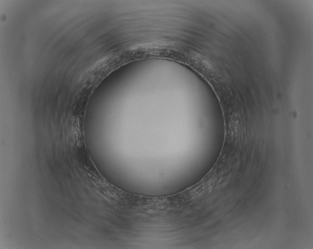 X0000070381062200606231707