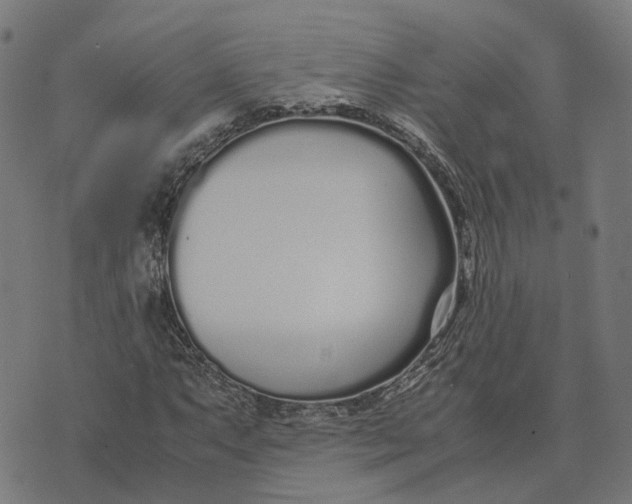 X0000070381063200606231707